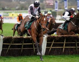 Stayers Hurdle Trends for Cheltenham