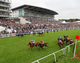 Epsom Downs Racecourse