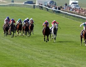 Frankel sensational in the 2000 Guineas at Newmarket