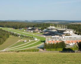 Beautiful racecourse at Goodwood