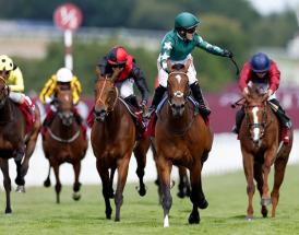 Horses To Follow Throughout The 2024 Flat Season