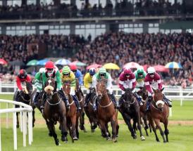 Fairyhouse - one of the leading racecourses in Ireland