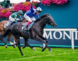 Juddmonte International Betting Tips 2024