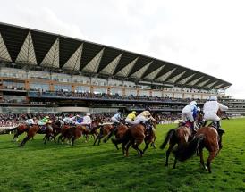 Tips Royal Ascot 2025