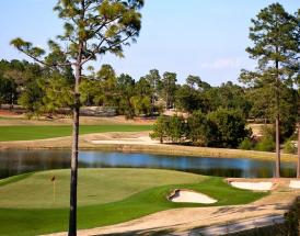 Betting Guide & Strategy for US Open Golf 2024