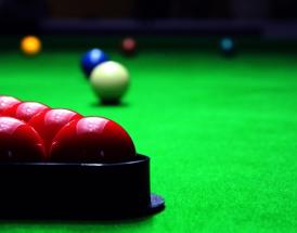 How much is Ronnie O Sullivan worth