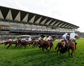 Most successful trainers at Royal Ascot and most successful jockeys at Royal Ascot