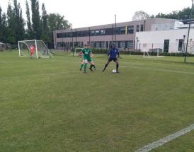 Diary of a Groundhopper Hinton