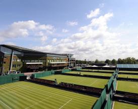 Grass Court Tennis players
