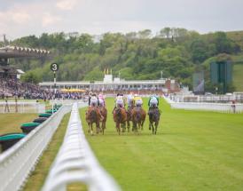 Betting tips for 2025 Goodwood Festival