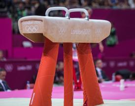 Pommel Horse is Max Whitlock's best event