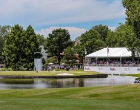 Betting tips FedEx St. Jude Championship 2024