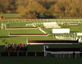 Horses to follow in the 2025/26 jumps season.