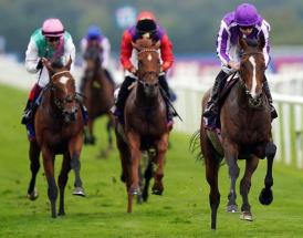 St Leger Ante Post Tips