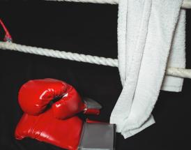 Tyson Fury Fight Record