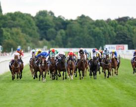 Antepost tips York Ebor Handicap for 2025
