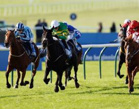 Cesarewitch Handicap Ante Post