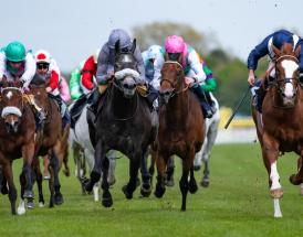 Champion Stakes tips