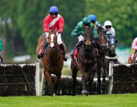 Horse Racing Betting Tips