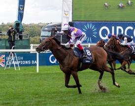 Ascot in the British Champions Sprint Stakes