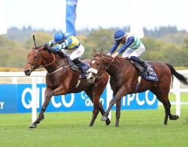 Long Distance Cup Antepost Tips