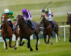 Ante Post tips on Prix de l'Arc