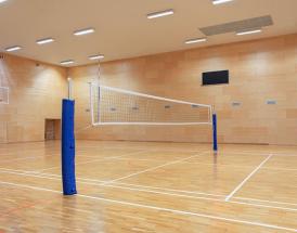 Volleyball Betting Tips