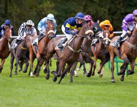 Gordon Elliott Stable Tour