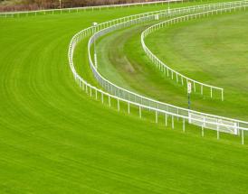 Haydock Park hosts the Betfair Chase