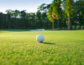 Course guide to Sanderson Farms