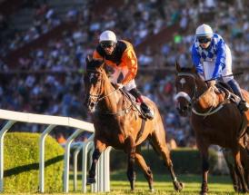 Coral Gold Cup antepost tips