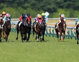 Rachael Blackmore Net Worth