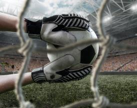 Michel Vorm Goalkeeper