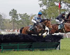Best Horse Racing hurdlers