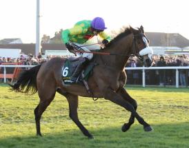 Kauto Star - a legend of jumps racing