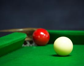 Snooker Players