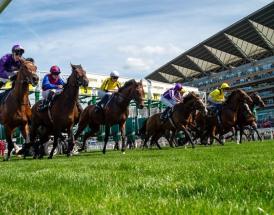 2025 Royal Ascot Results