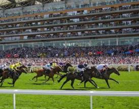 Aidan O'Brien Net Worth