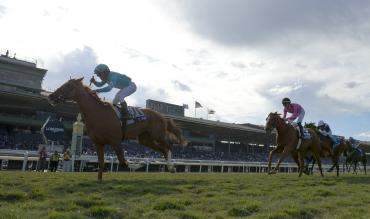 Horse Racing Betting Ascot Long Walk Hurdle