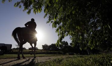 Horse racing on New Year's Day at Cheltenham