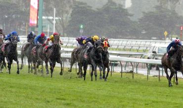 Horse Racing Gamble Landed