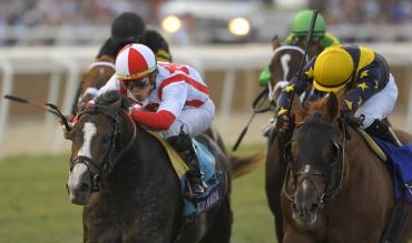 Towton Chase Wetherby Horse Racing