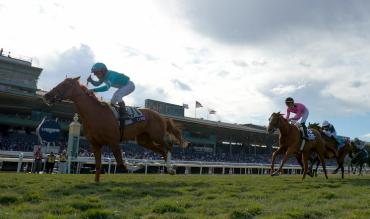 Betting Tips Horse Racing 2020 Cheltenham Festival