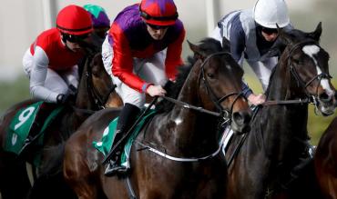 Midlands Grand National Tips