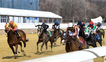Naas Horse Racing 23rd March