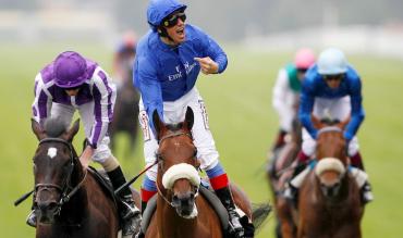 Best Horse Racing Betting