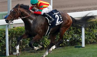 Newmarket Tips Today Cambridgeshire 2020