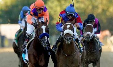 Best Horses To Follow Cheltenham 2021