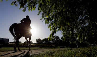 Cheltenham Results 2020 - Cheltenham Festival