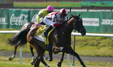 Best trends Ebor Handicap York